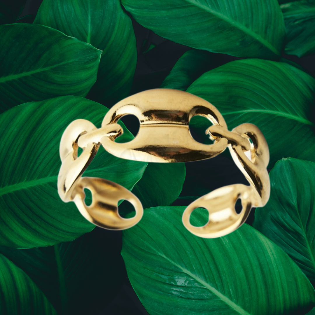 Bague grain de café Acier inoxydable