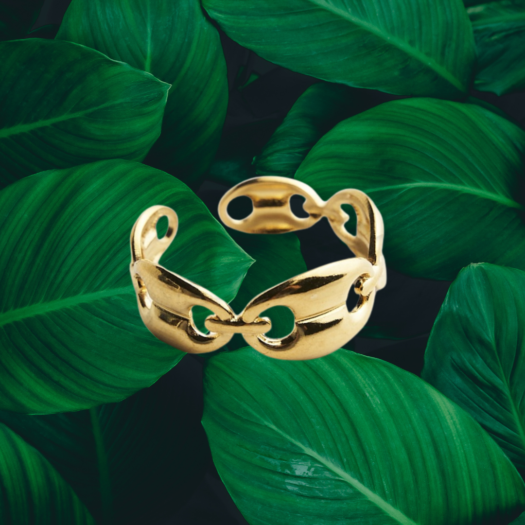 Bague grain de café Acier inoxydable