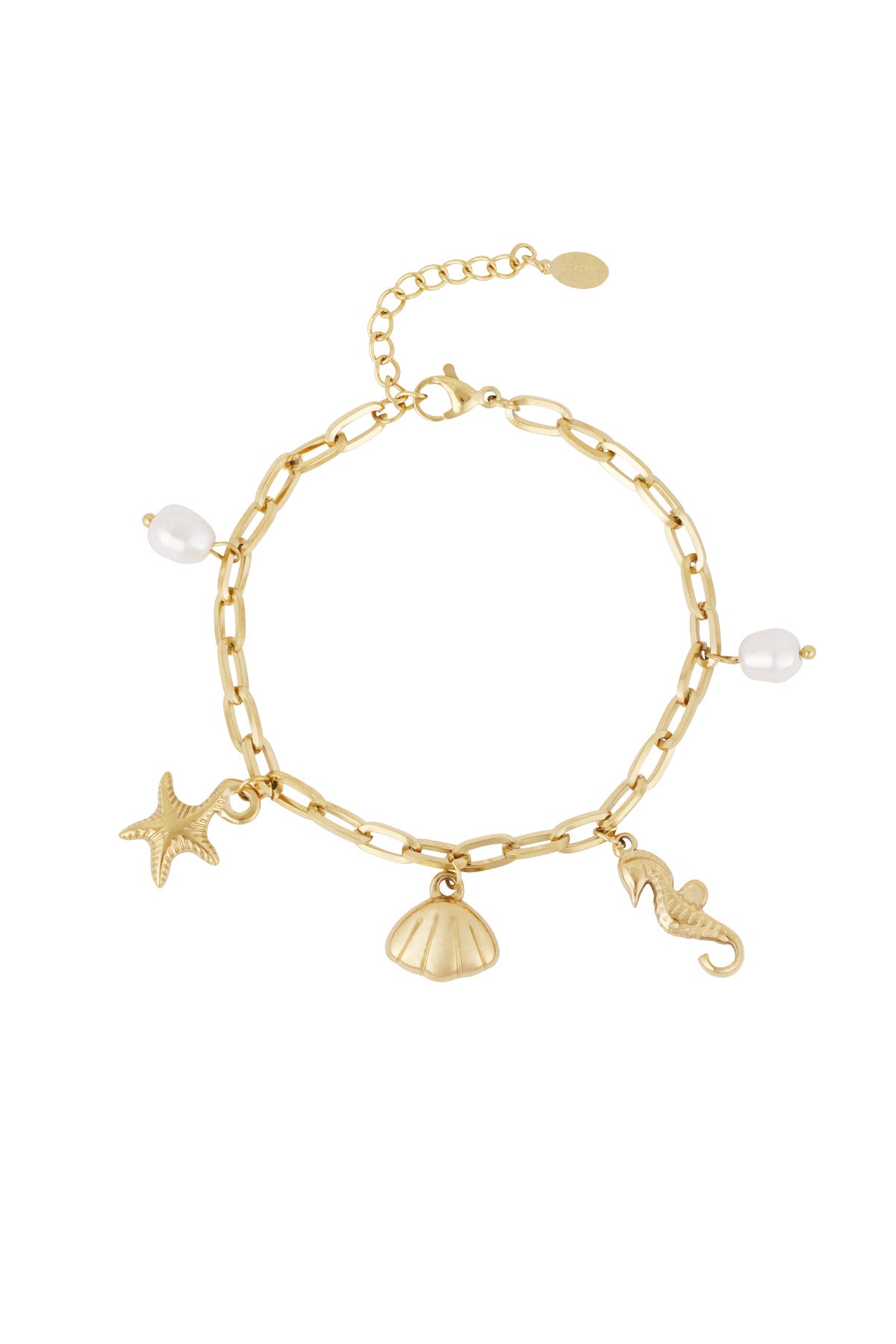 Bracelet Plage Acier inoxydable