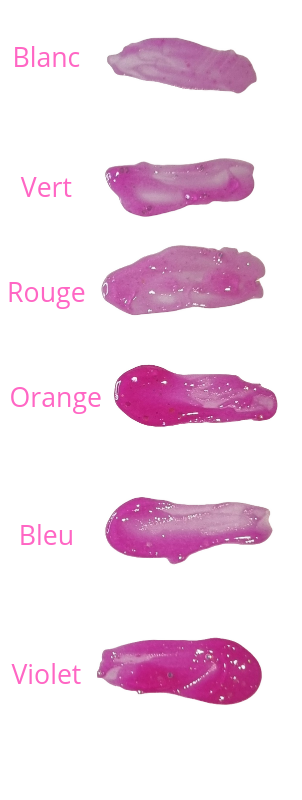 Gloss ROSE 2en1 Huile et brillant à lèvres goût fruité