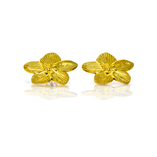 Boucles d'oreilles Fleur Acier